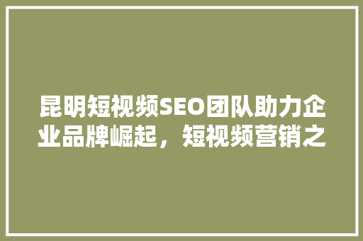 昆明短视频SEO团队助力企业品牌崛起，短视频营销之路