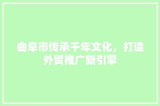 曲阜市传承千年文化，打造外贸推广新引擎
