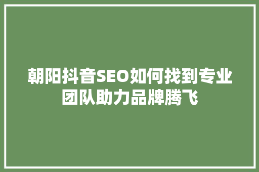 朝阳抖音SEO如何找到专业团队助力品牌腾飞