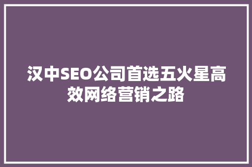 汉中SEO公司首选五火星高效网络营销之路