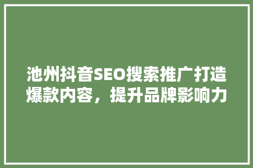 池州抖音SEO搜索推广打造爆款内容，提升品牌影响力  第1张