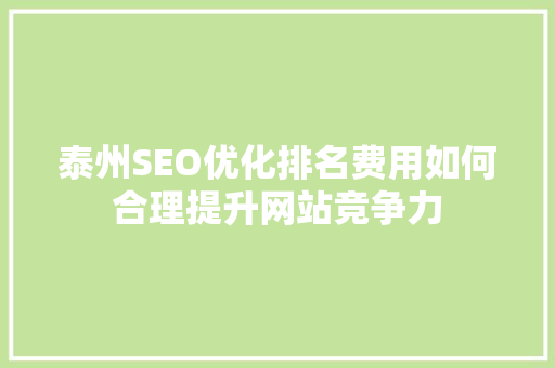 泰州SEO优化排名费用如何合理提升网站竞争力  第1张