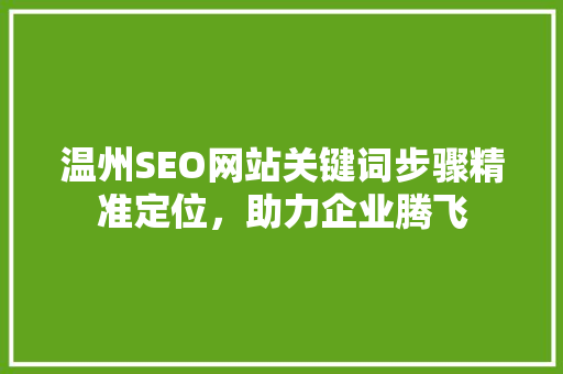 温州SEO网站关键词步骤精准定位，助力企业腾飞  第1张