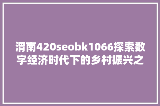 渭南420seobk1066探索数字经济时代下的乡村振兴之路
