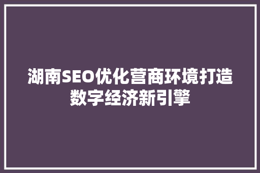 湖南SEO优化营商环境打造数字经济新引擎