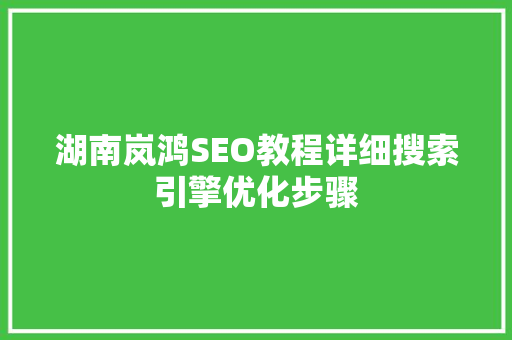 湖南岚鸿SEO教程详细搜索引擎优化步骤