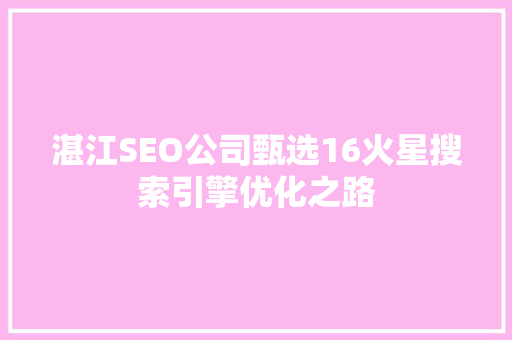 湛江SEO公司甄选16火星搜索引擎优化之路