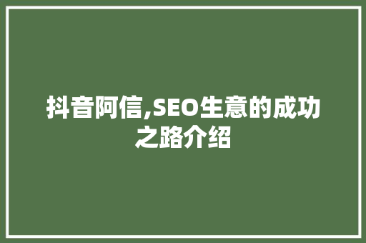 抖音阿信,SEO生意的成功之路介绍
