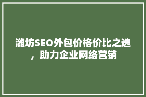 潍坊SEO外包价格价比之选，助力企业网络营销