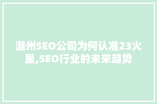潮州SEO公司为何认准23火星,SEO行业的未来趋势