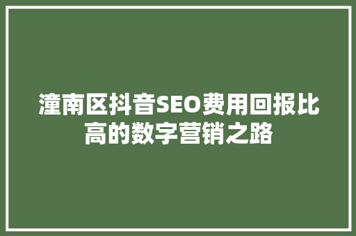 潼南区抖音SEO费用回报比高的数字营销之路