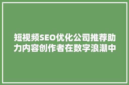 短视频SEO优化公司推荐助力内容创作者在数字浪潮中乘风破浪