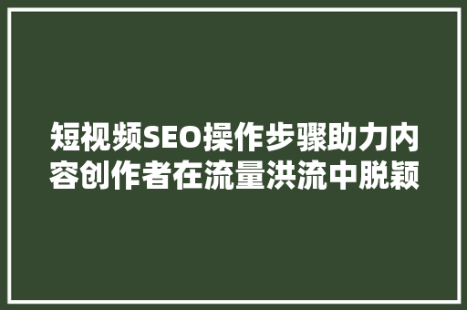 短视频SEO操作步骤助力内容创作者在流量洪流中脱颖而出  第1张