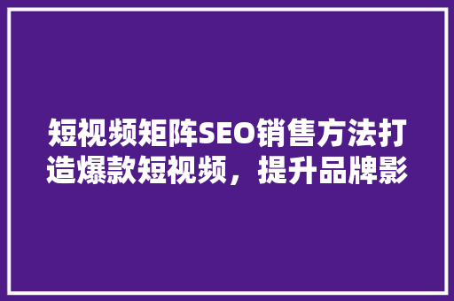 短视频矩阵SEO销售方法打造爆款短视频，提升品牌影响力