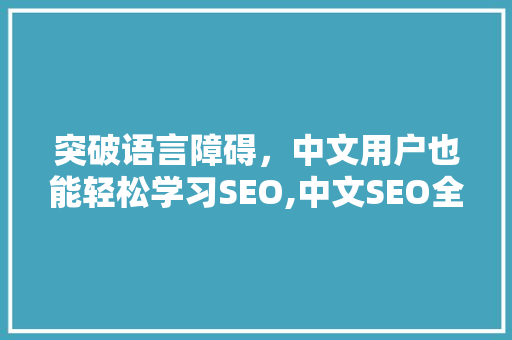 突破语言障碍，中文用户也能轻松学习SEO,中文SEO全攻略