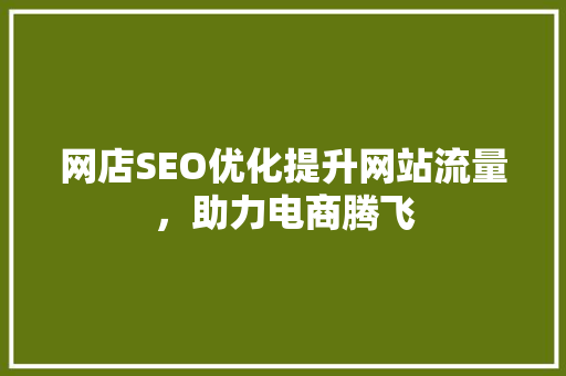 网店SEO优化提升网站流量，助力电商腾飞