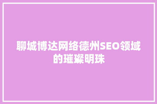 聊城博达网络德州SEO领域的璀璨明珠