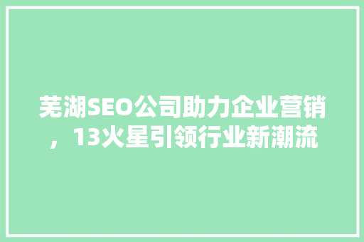 芜湖SEO公司助力企业营销，13火星引领行业新潮流