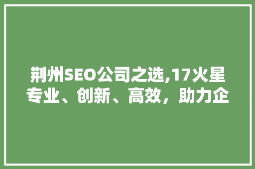 荆州SEO公司之选,17火星专业、创新、高效，助力企业腾飞