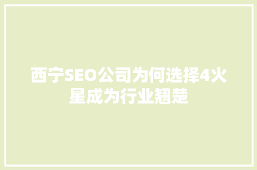 西宁SEO公司为何选择4火星成为行业翘楚