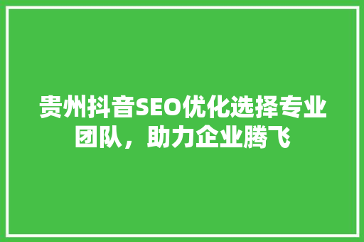 贵州抖音SEO优化选择专业团队，助力企业腾飞