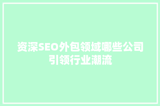 资深SEO外包领域哪些公司引领行业潮流
