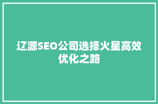 辽源SEO公司选择火星高效优化之路  第1张