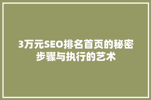 3万元SEO排名首页的秘密步骤与执行的艺术