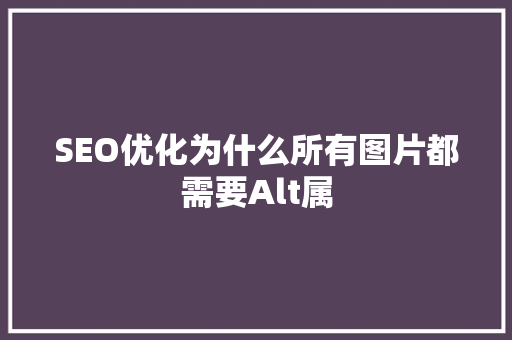 SEO优化为什么所有图片都需要Alt属