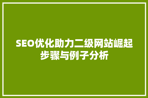 SEO优化助力二级网站崛起步骤与例子分析