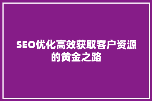 SEO优化高效获取客户资源的黄金之路