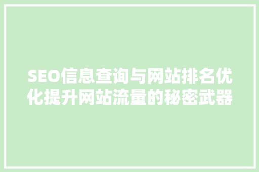 SEO信息查询与网站排名优化提升网站流量的秘密武器