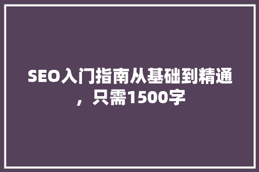 SEO入门指南从基础到精通，只需1500字