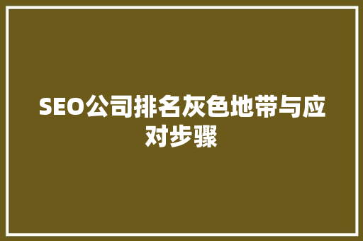 SEO公司排名灰色地带与应对步骤