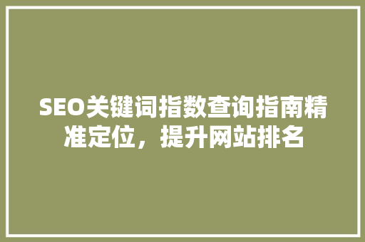 SEO关键词指数查询指南精准定位，提升网站排名