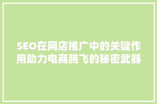 SEO在网店推广中的关键作用助力电商腾飞的秘密武器