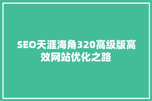 SEO天涯海角320高级版高效网站优化之路