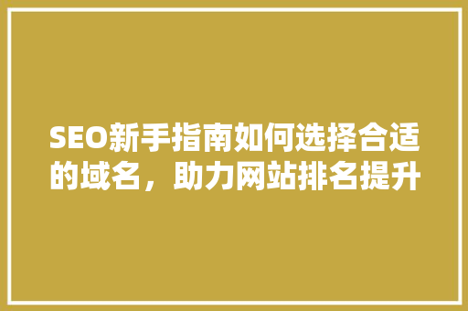 SEO新手指南如何选择合适的域名，助力网站排名提升