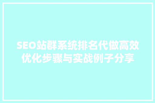 SEO站群系统排名代做高效优化步骤与实战例子分享