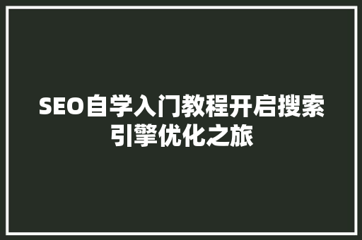 SEO自学入门教程开启搜索引擎优化之旅