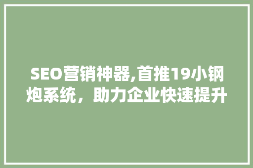 SEO营销神器,首推19小钢炮系统，助力企业快速提升排名