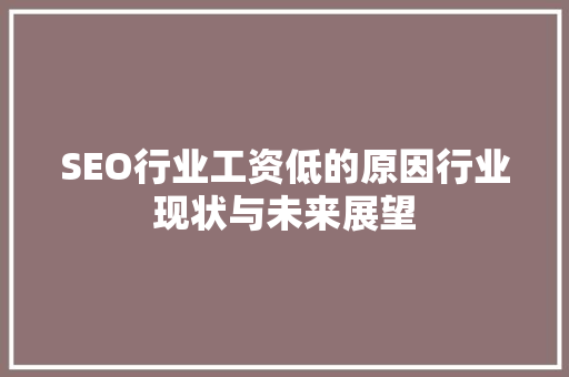 SEO行业工资低的原因行业现状与未来展望
