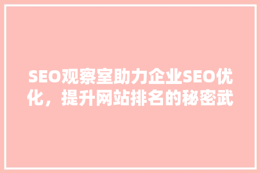 SEO观察室助力企业SEO优化，提升网站排名的秘密武器