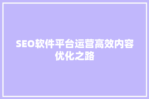 SEO软件平台运营高效内容优化之路