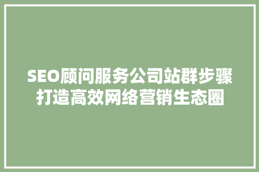 SEO顾问服务公司站群步骤打造高效网络营销生态圈