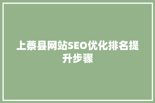 上蔡县网站SEO优化排名提升步骤