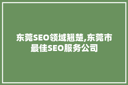 东莞SEO领域翘楚,东莞市最佳SEO服务公司