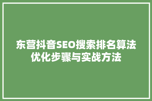 东营抖音SEO搜索排名算法优化步骤与实战方法