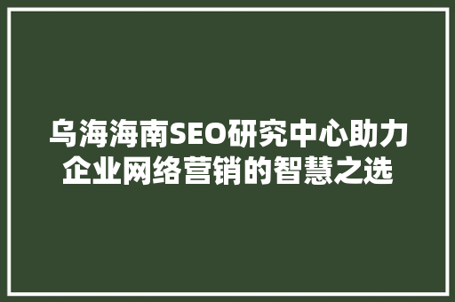 乌海海南SEO研究中心助力企业网络营销的智慧之选