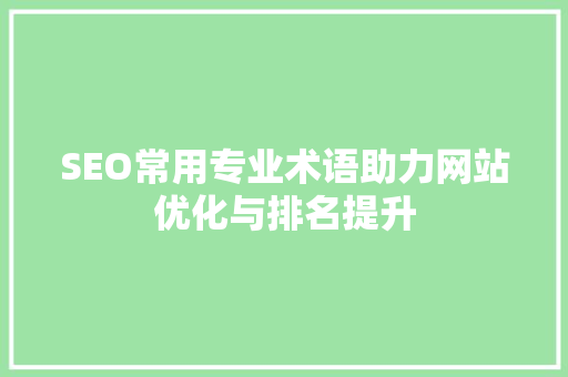 SEO常用专业术语助力网站优化与排名提升